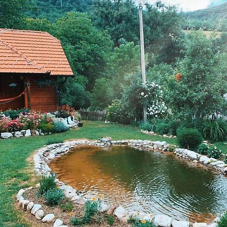 Вилла Sum Rzava Arilje Экстерьер фото